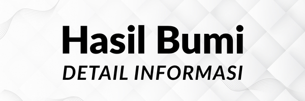 Informasi Bumi